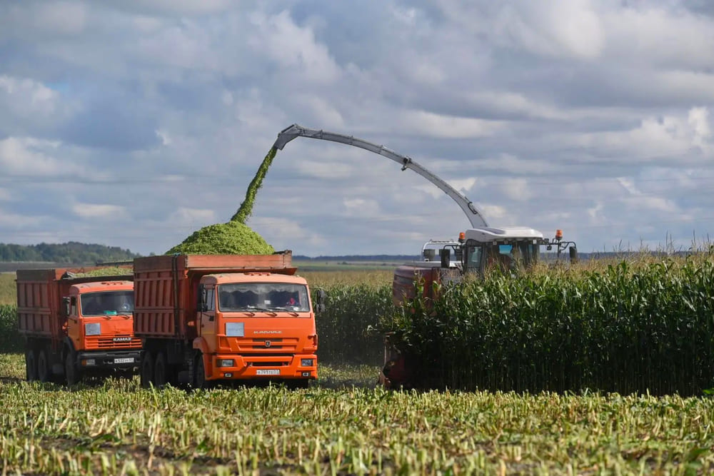 Впервые на стенде будет представлен кормоуборочный комбайн RSM F 2750 3