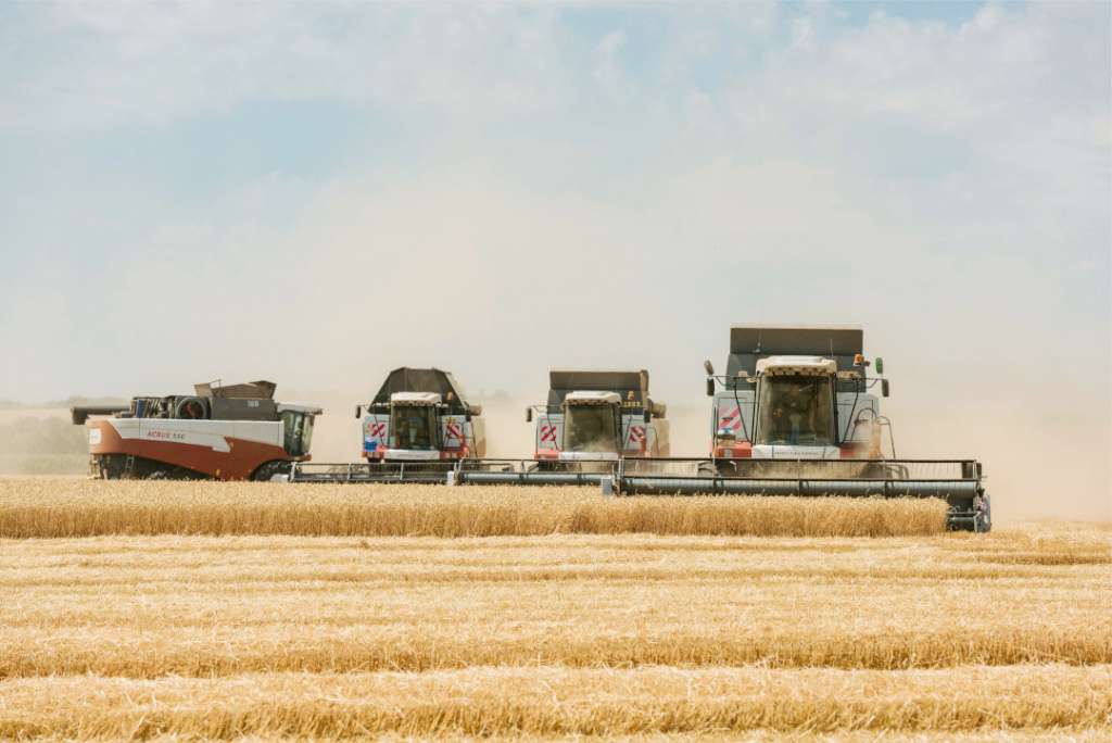 e43ac68231a93b56572ab97a9dc7fdcc-min.jpg e43ac68231a93b56572ab97a9dc7fdcc-min.jpg